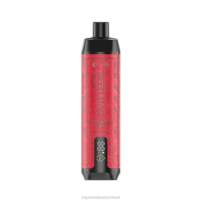 VapSolo Twins Deutschland - Erdbeer-Kiwi VapSolo SHISHA Einweg-Vapor 480B10