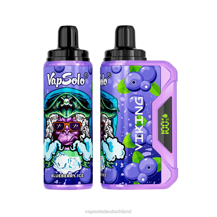 VapSolo Kaufen - Blaubeere VapSolo VIKING Einweg-Vapor 480B36